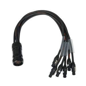 A picture of Socapex - True1 Fan Out